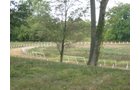 Property photo 62 - 80 Acres Offered in 4 Tracts - Horse Farm